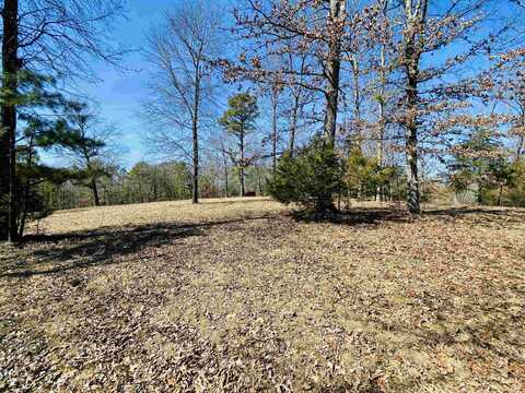 Lots 6,7,8 River Bend Ridge, Calico Rock, AR 72519