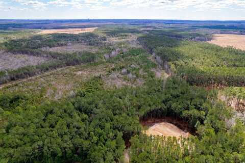 TBD Highway 905, Conway, SC 29526