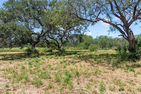 00 Us-181 S, Skidmore, TX 78389