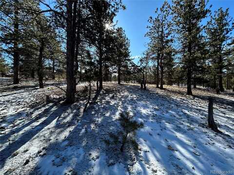 2146 Wagon Wheel Road, Hartsel, CO 80449