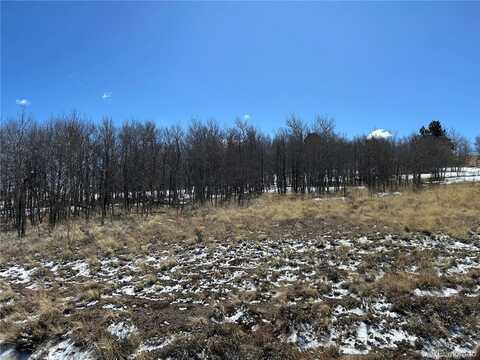 68 Mower Court, Hartsel, CO 80449