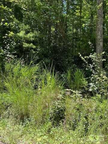 Pleasant Grove Church Road unit: 3A, Hendersonville, NC 28792
