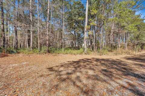 1010 Towhee Lane, Mc Clellanville, SC 29458