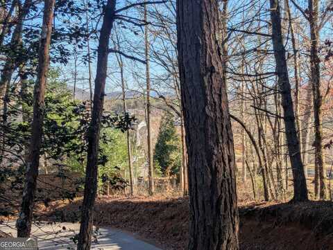 0 Ivylog, Blairsville, GA 30512