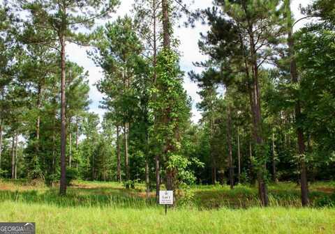 176 Overlook, Eatonton, GA 31024