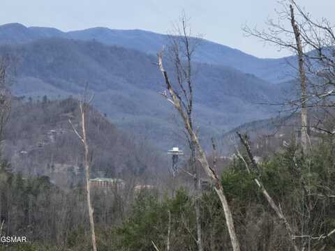 Lot 8 Kristis Place, Gatlinburg, TN 37738