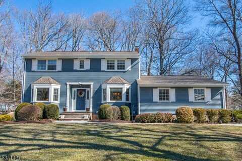 3 Winding Way, Randolph, NJ 07869