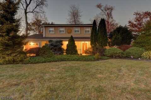 11 Vivian St, Lincoln Park, NJ 07035