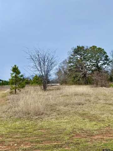 433 Palo Duro Lane, Bullard, TX 75757