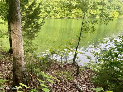 Lot #130 Hickory Pointe Lane, Maynardville, TN 37807