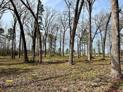 3.48 Acres Roberts Lane, Diboll, TX 75941