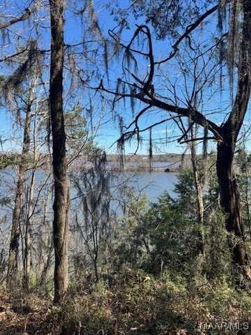 Prairie Bluff Drive lot: 2, Catherine, AL 36728