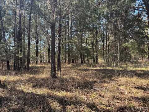 Prairie Bluff Drive lot: 1, Catherine, AL 36728