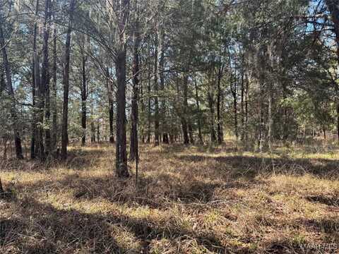 Lot 1 Prairie Bluff Drive, Catherine, AL 36728