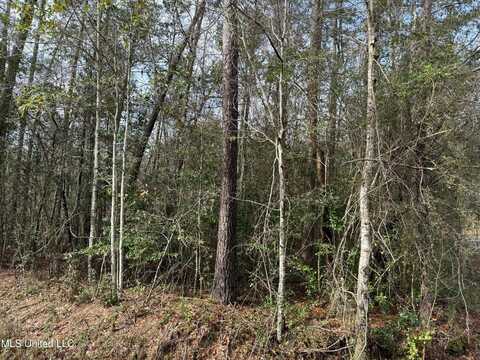 1082 Koloa Court, Diamondhead, MS 39525