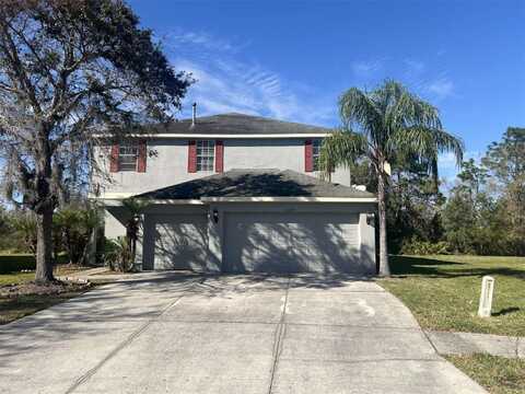 20619 WHITEBUD COURT, TAMPA, FL 33647