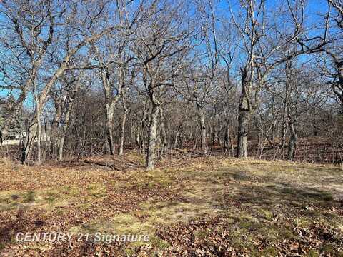 V/L Crescent Beach, Pigeon, MI 48755