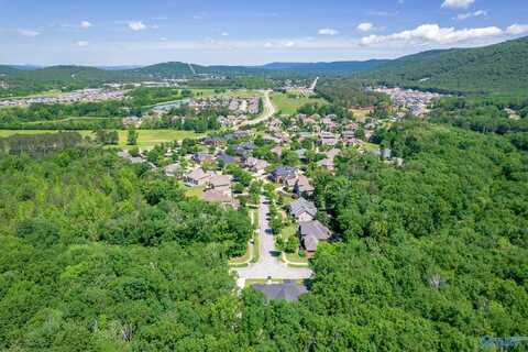 743 Bastion Lane, Huntsville, AL 35803