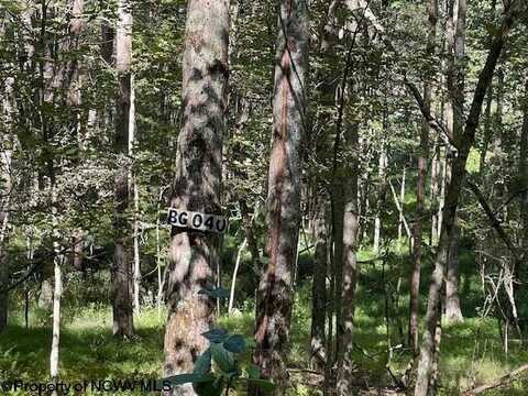 Lot 40 Bobolink Drive, Terra Alta, WV 26764