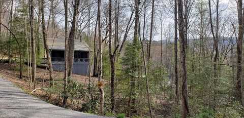 4660 Mitchell Cove Road, Hiawassee, GA 30546