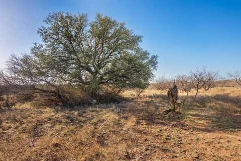 0000 CR 122, Brady, TX 76825