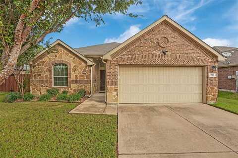 923 Crockett Drive, Lavon, TX 75166