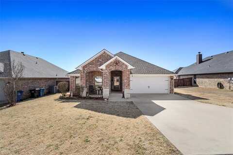 2805 S Lillis Lane, Denison, TX 75020