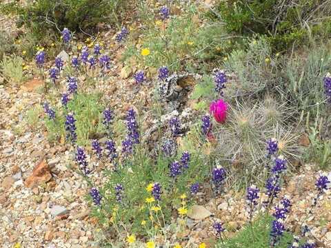 382 Lost Road,, Alpine/Terlingua, TX 79830