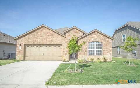 275 Lillianite, New Braunfels, TX 78130