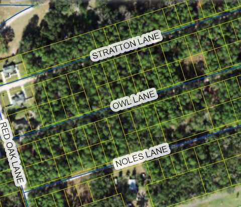 Owl Lane, Crawfordville, FL 32327