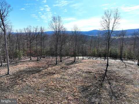 LOT 5 JASON LANE, RIDGELEY, WV 26753