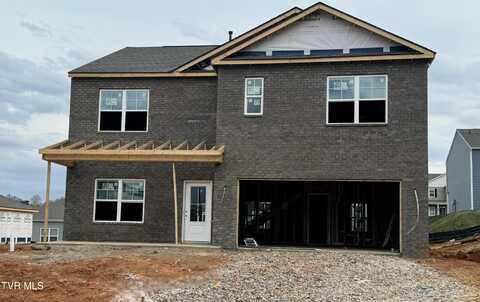 607 Canoe Street, Johnson City, TN 37604