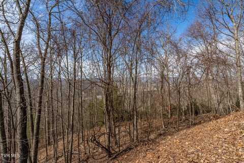 Tbd Iroquois Road, Mountain City, TN 37683