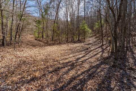 Lot 1,3,4 Callalantee Course, Mountain City, TN 37683