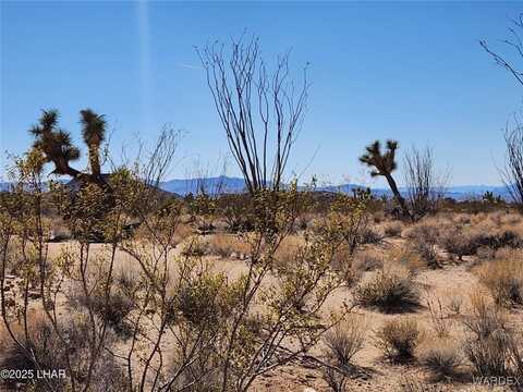 E Mary Drive lot: 207, Yucca, AZ 86438