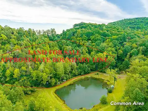 Old Pond Trl, Fancy Gap, VA 24328