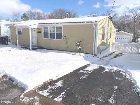 Shenandoah, WINCHESTER, VA 22601