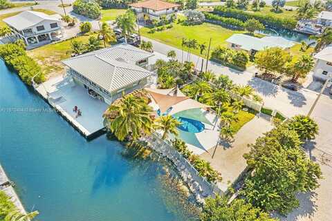 Hawk, BIG PINE KEY, FL 33043