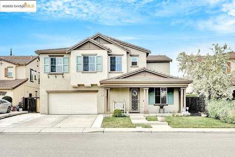 Morning Glory, OAKLEY, CA 94561