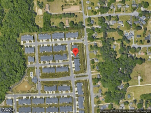 Bald Cypress, MECHANICSVILLE, VA 23111