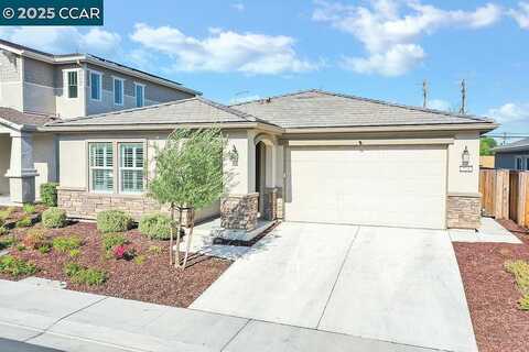 Vanek, OAKLEY, CA 94561
