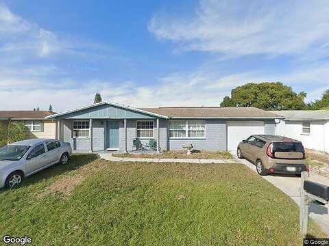 Umber, HOLIDAY, FL 34691