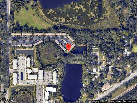 Black Swan, SEFFNER, FL 33584