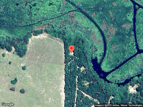 Plumjelly, INVERNESS, FL 34453