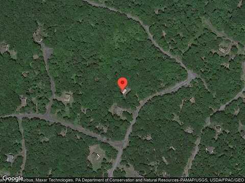 Cardinal, BUSHKILL, PA 18324