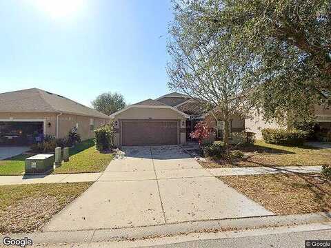 Celtic Ash, RUSKIN, FL 33573