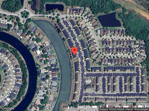 Towering Spruce, RIVERVIEW, FL 33578