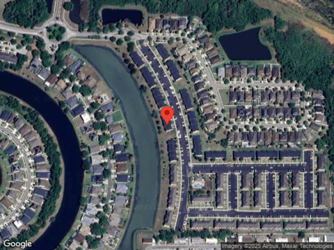 Towering Spruce, RIVERVIEW, FL 33578