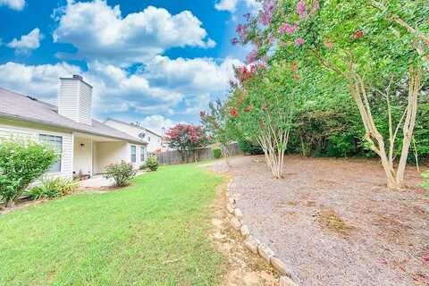Bradford Pear, BUFORD, GA 30519