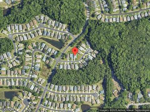 Sinatra, NEW PORT RICHEY, FL 34654